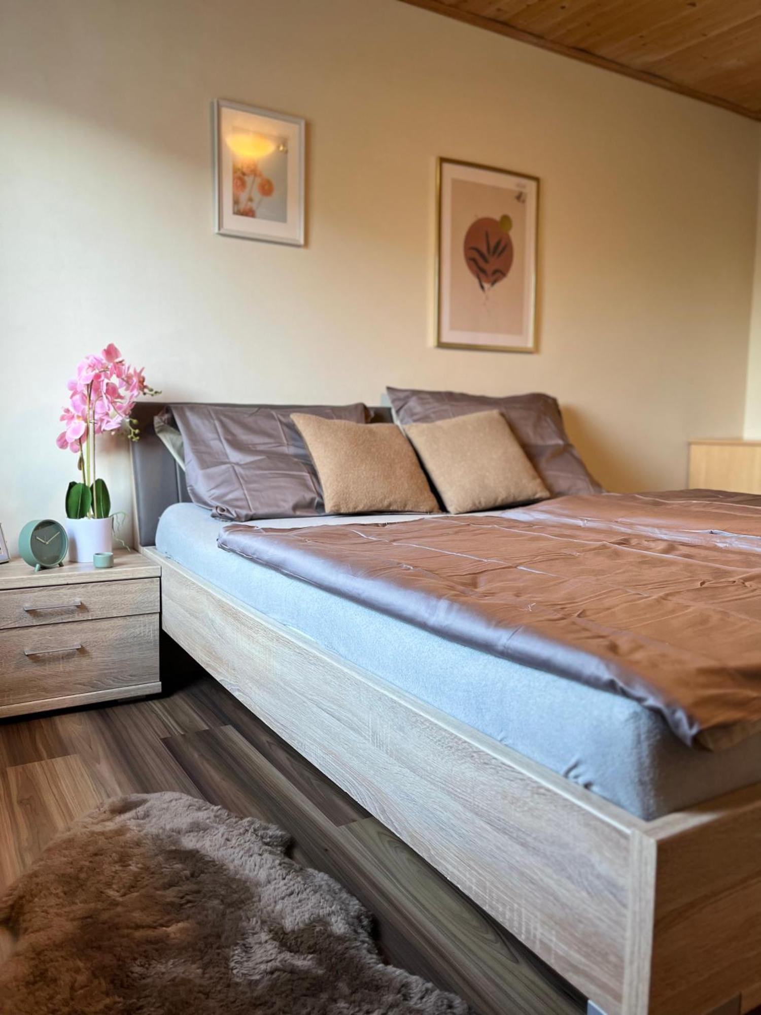 Gemuetliche Wohnung/ Cozy Apartment Niklasdorf Eksteriør bilde